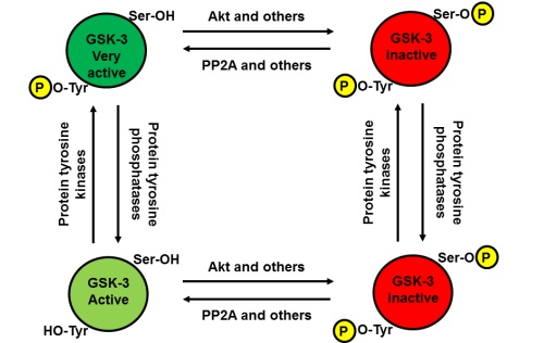 Protein phosphorylation